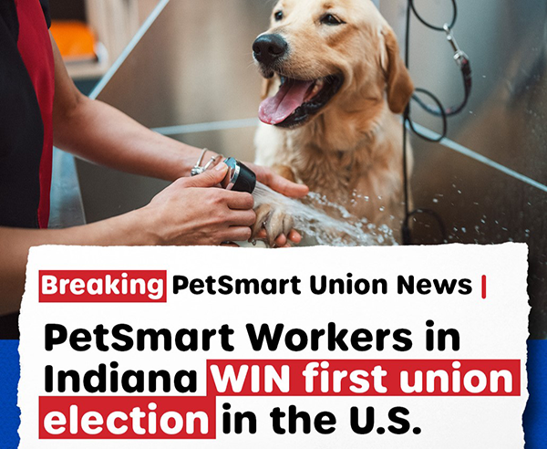 Petsmart workers win first union in the U.S.