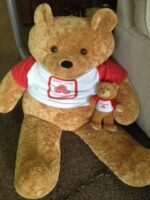 Fun with the Bear