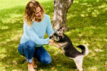 Got dogs? I love them! Let me help you find the right place that your furry friends can also enjoy!