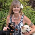 Team Hawaii Realty – RB-22406