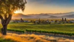 Landrock Real Estate, Inc.