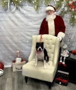 Bo with Santa