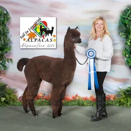 Judge Real Estate, LLC