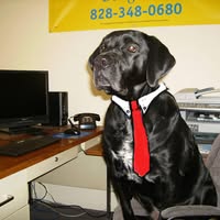 Four Star Insurance Group, Inc.