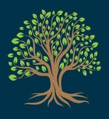 Otto Family Law